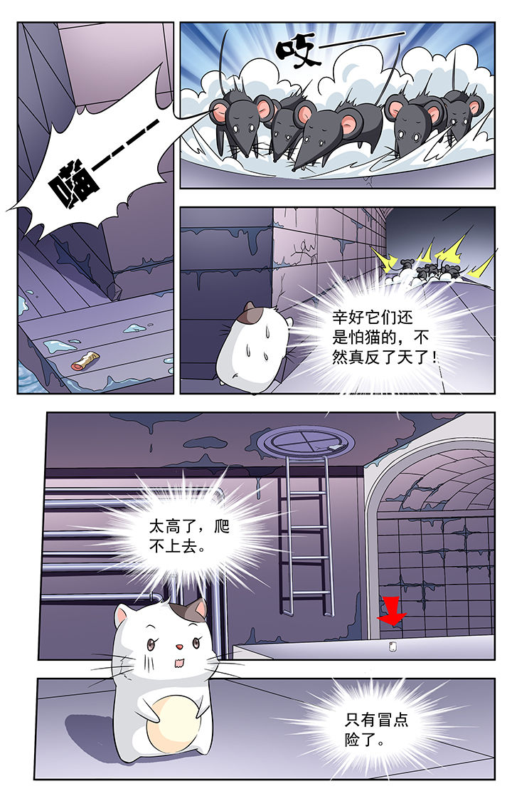 我的男神爹地合集漫画,第113章：1图