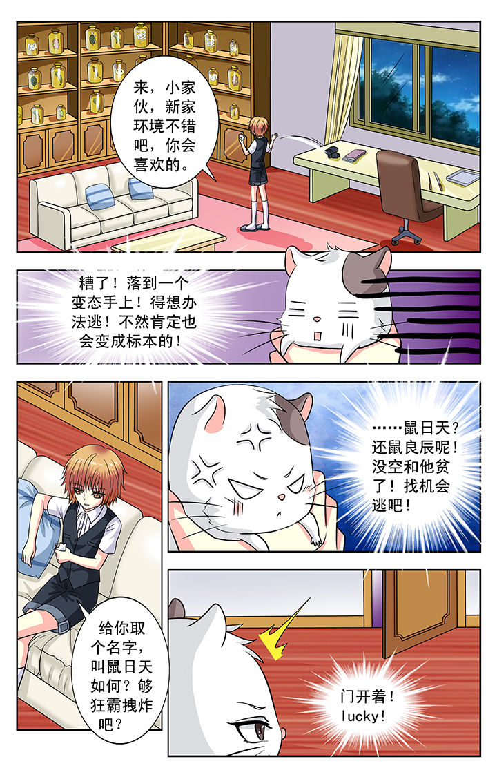 我的男神漫画,第114章：2图