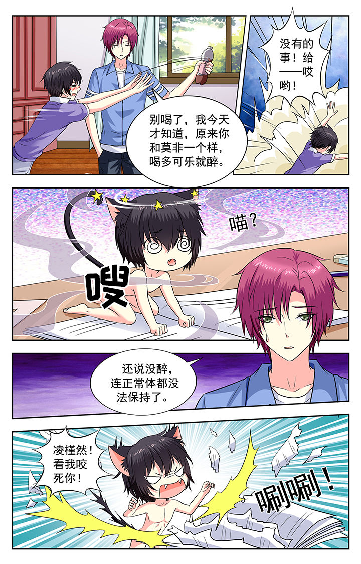 我的男神老公漫画,第205章：1图