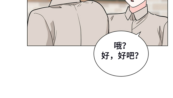 过度负债堆积资产漫画,第64章：你们自行解决1图