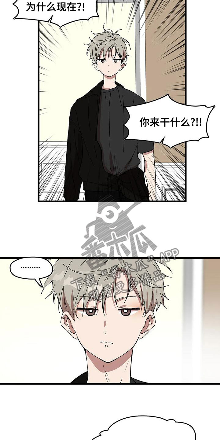 花哨的武术动作漫画,第57章：打扰2图