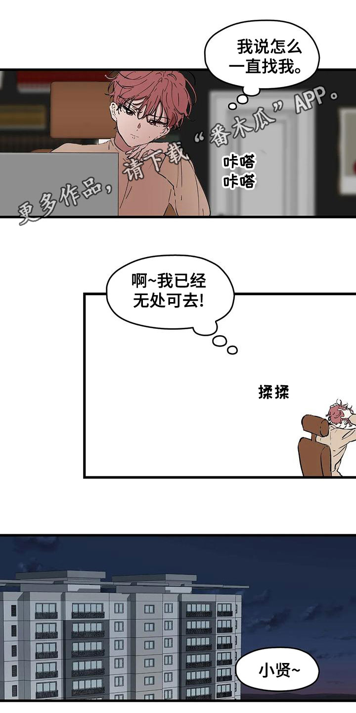 花哨的条件完结了吗漫画,第57章：打扰1图