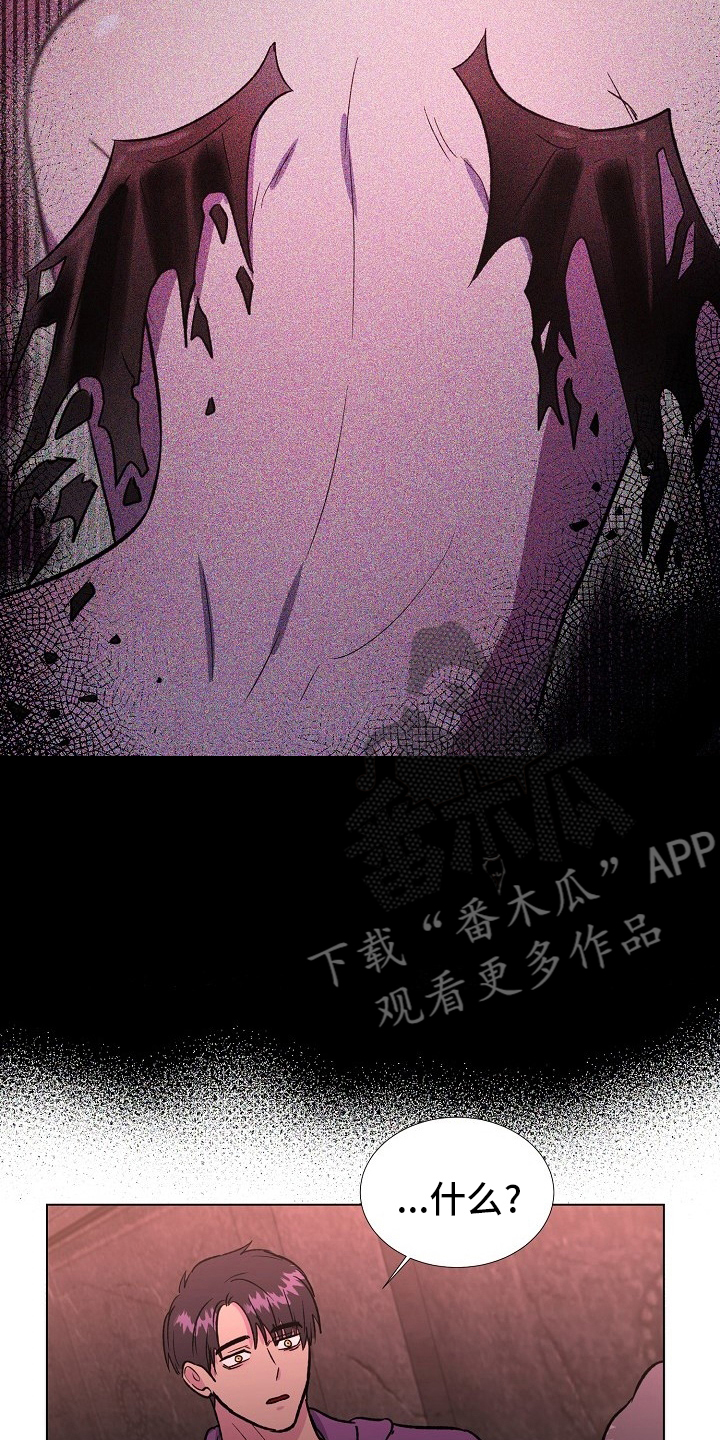 爱的魔力转圈圈游戏的意义漫画,第62章：选择1图