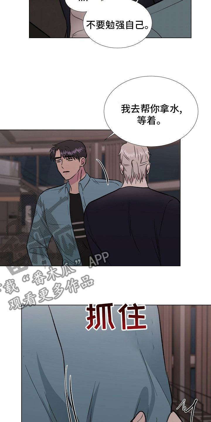 爱的魔力转圈圈是什么歌漫画,第66章：记挂2图