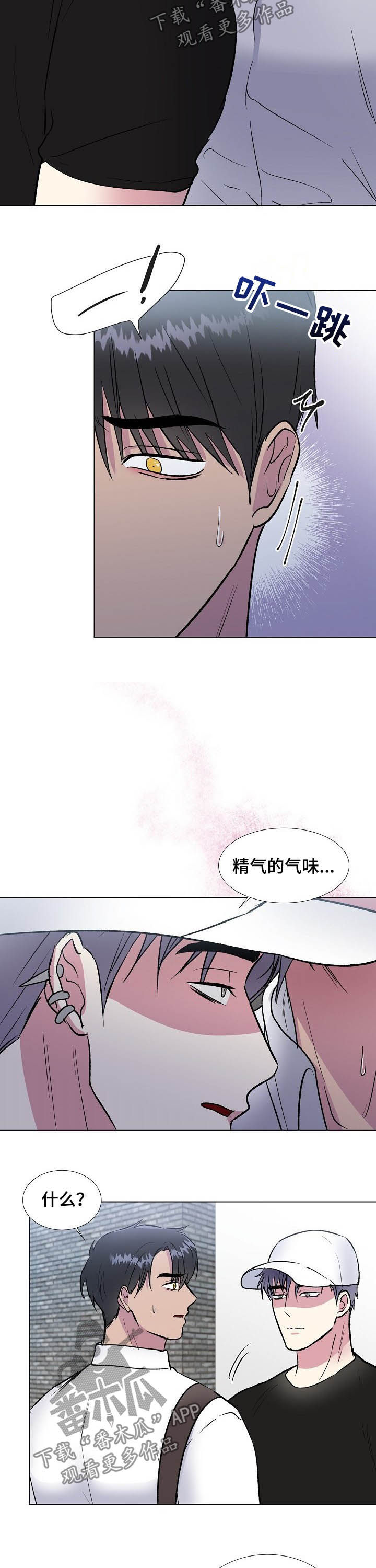 爱的魔力转圈圈小说华子漫画,第39章：不对劲1图