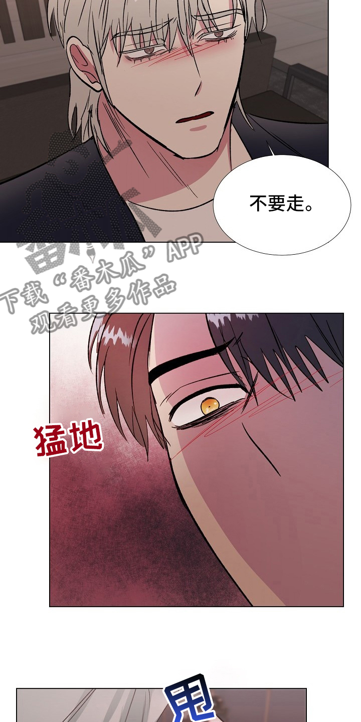 爱的魔力转圈圈小说漫画,第67章：只能是这样1图