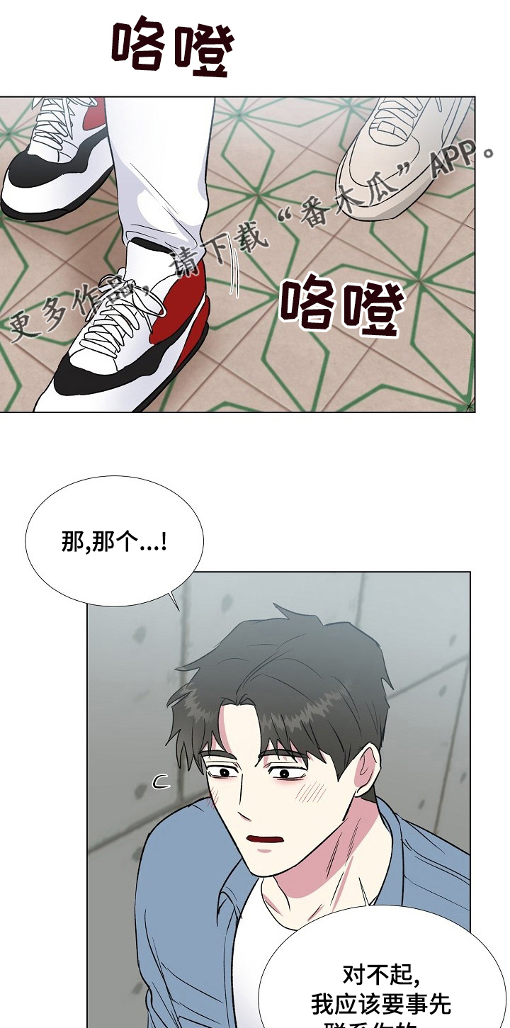 爱的魔力转圈圈歌词歌词漫画,第52章：结束了1图