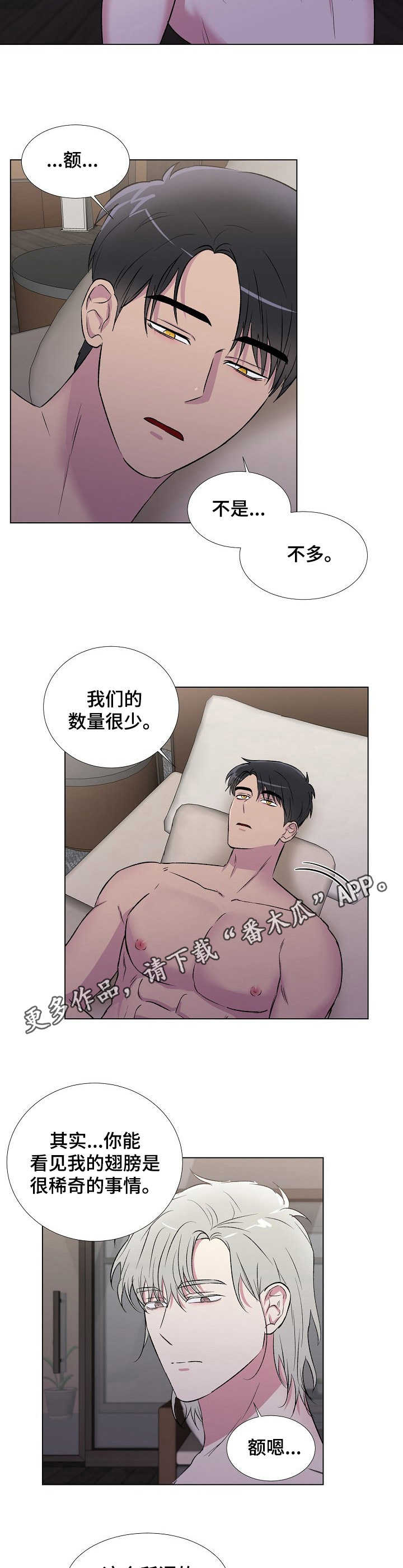 爱的魔力转圈圈歌词完整版漫画,第13章：兴趣1图