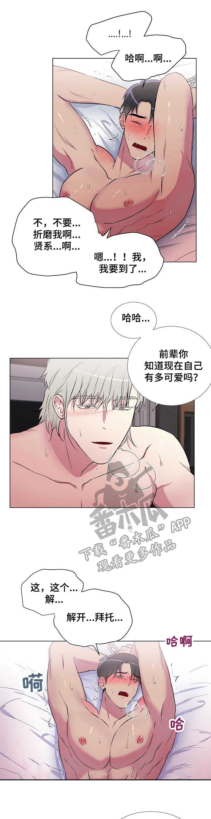 爱的魔力原唱漫画,第12章：不解开1图