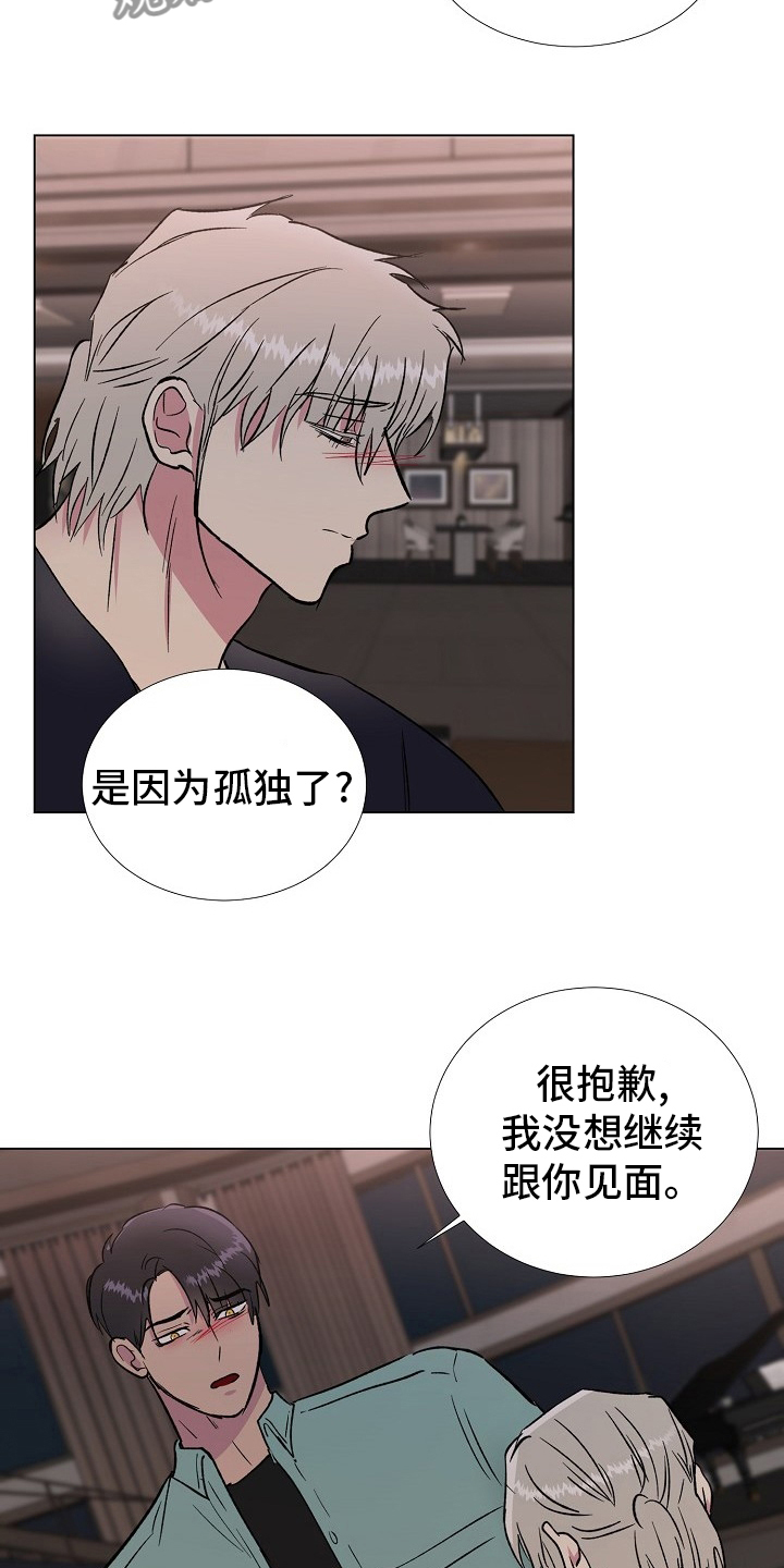 爱的魔力转圈圈小说漫画,第67章：只能是这样1图