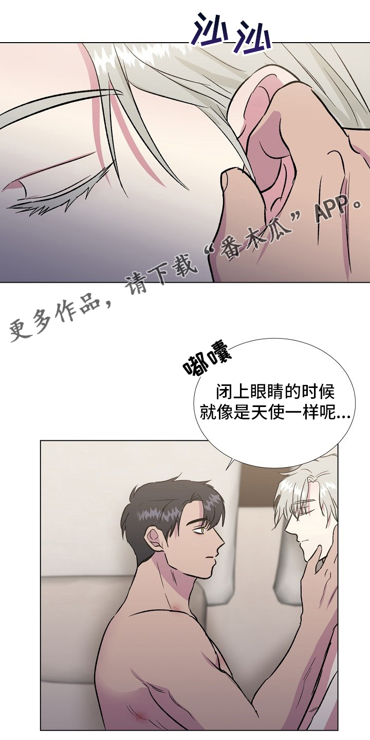 爱的魔力漫画,第71章：【完结】决定1图