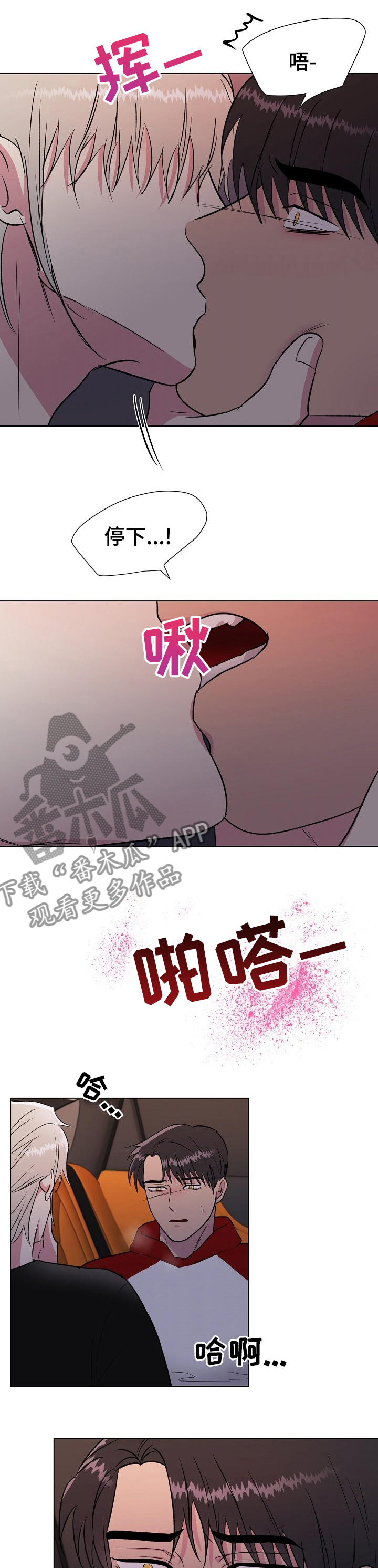 爱的魔力转圈圈是什么歌漫画,第49章：随你便吧1图