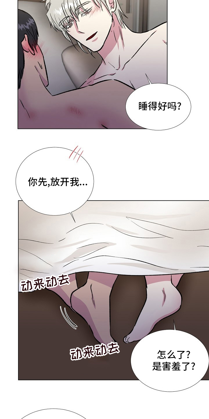 爱的魔力转圈圈文案漫画,第71章：【完结】决定2图