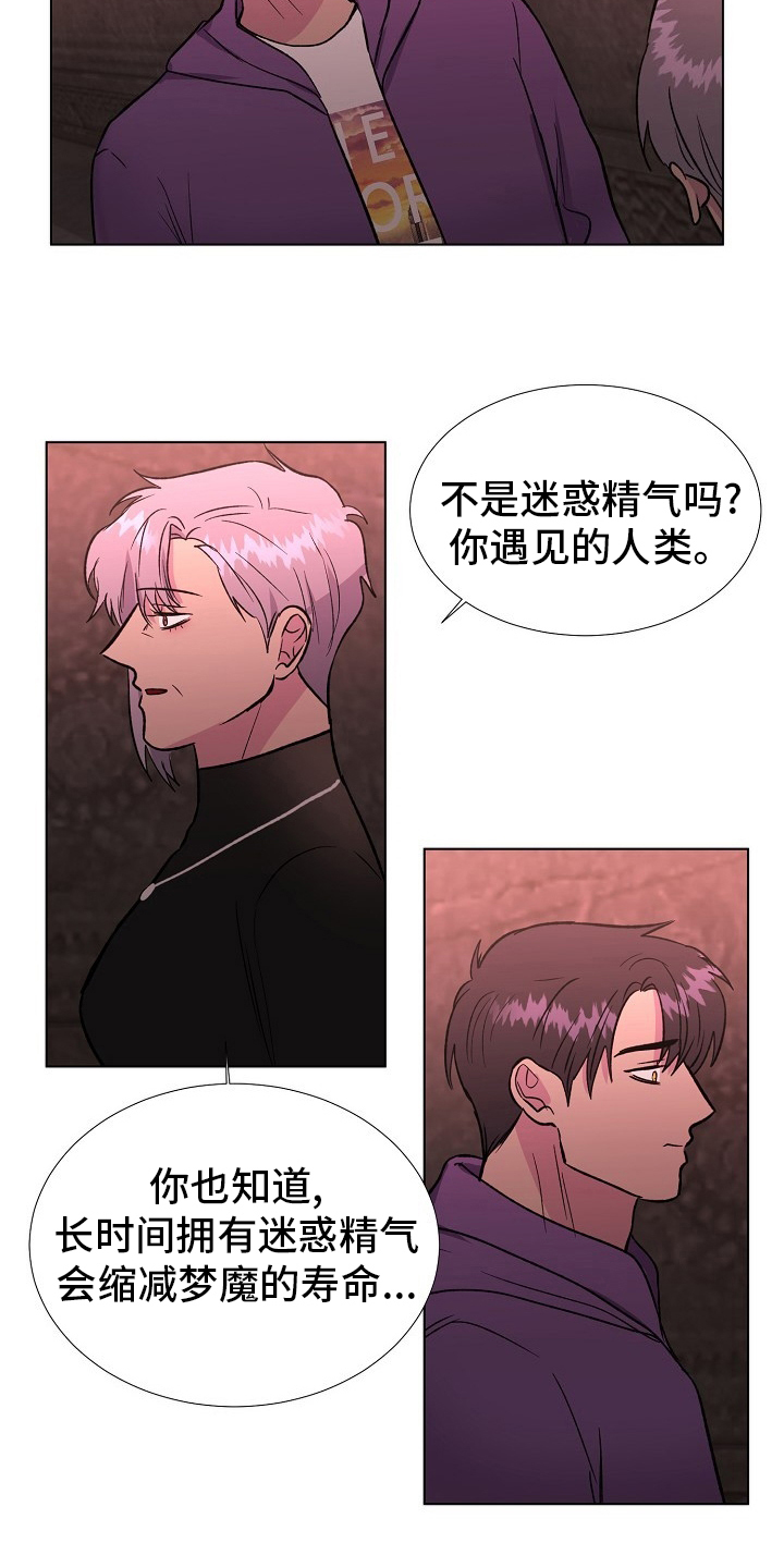 爱的魔力转圈圈游戏的意义漫画,第62章：选择2图