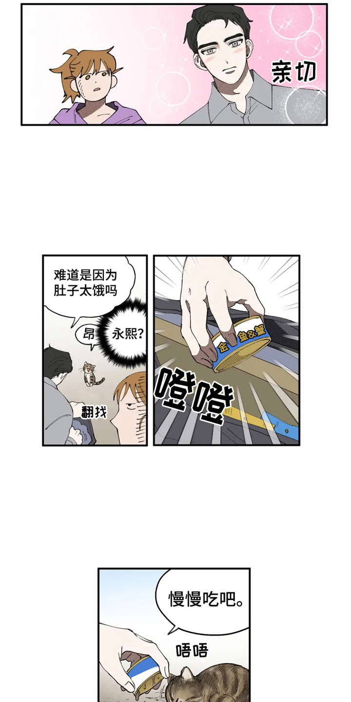 炽热追求漫画,第8章：猫咪2图