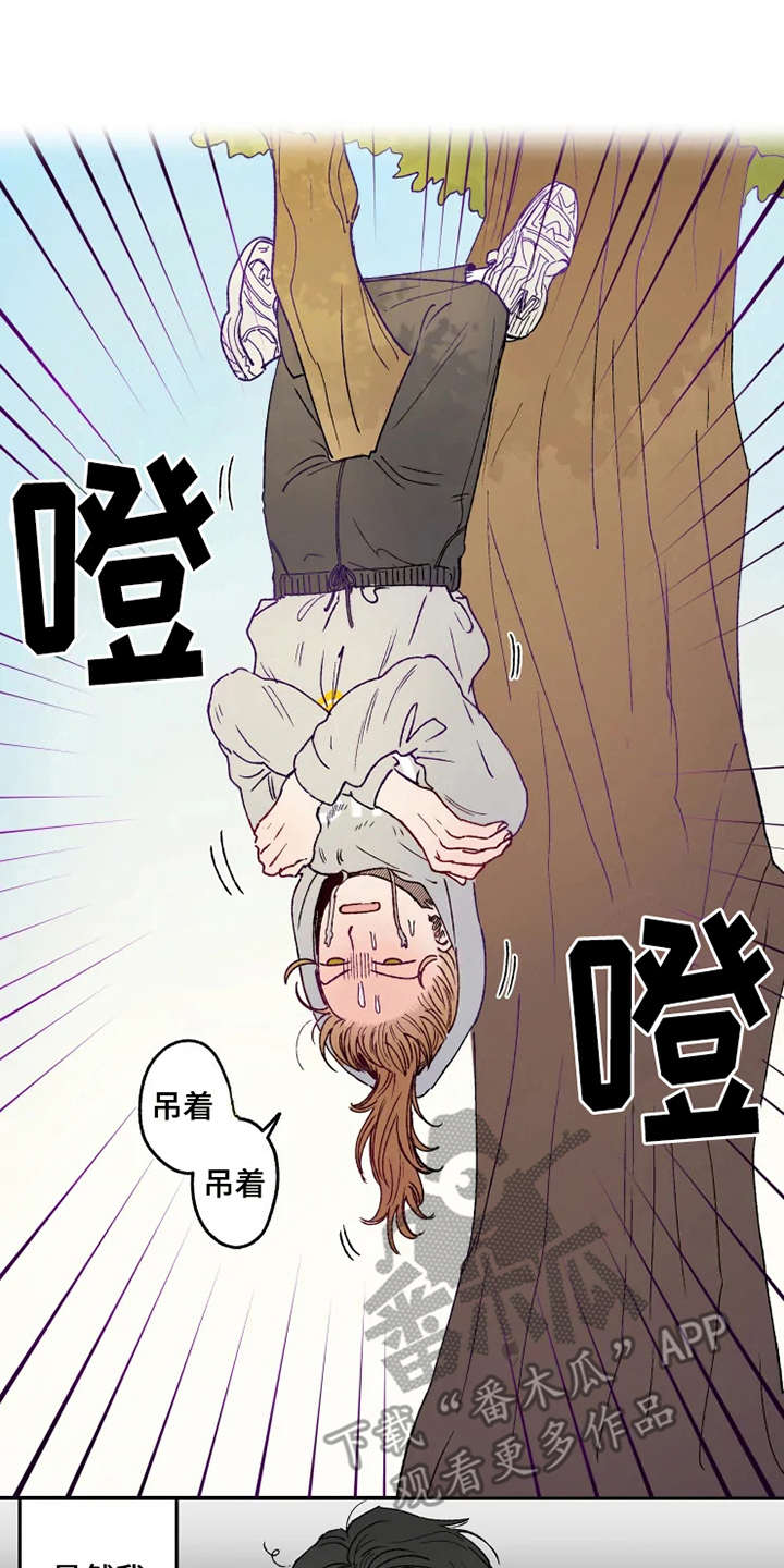 炽热狙击漫画,第20章：倒吊2图