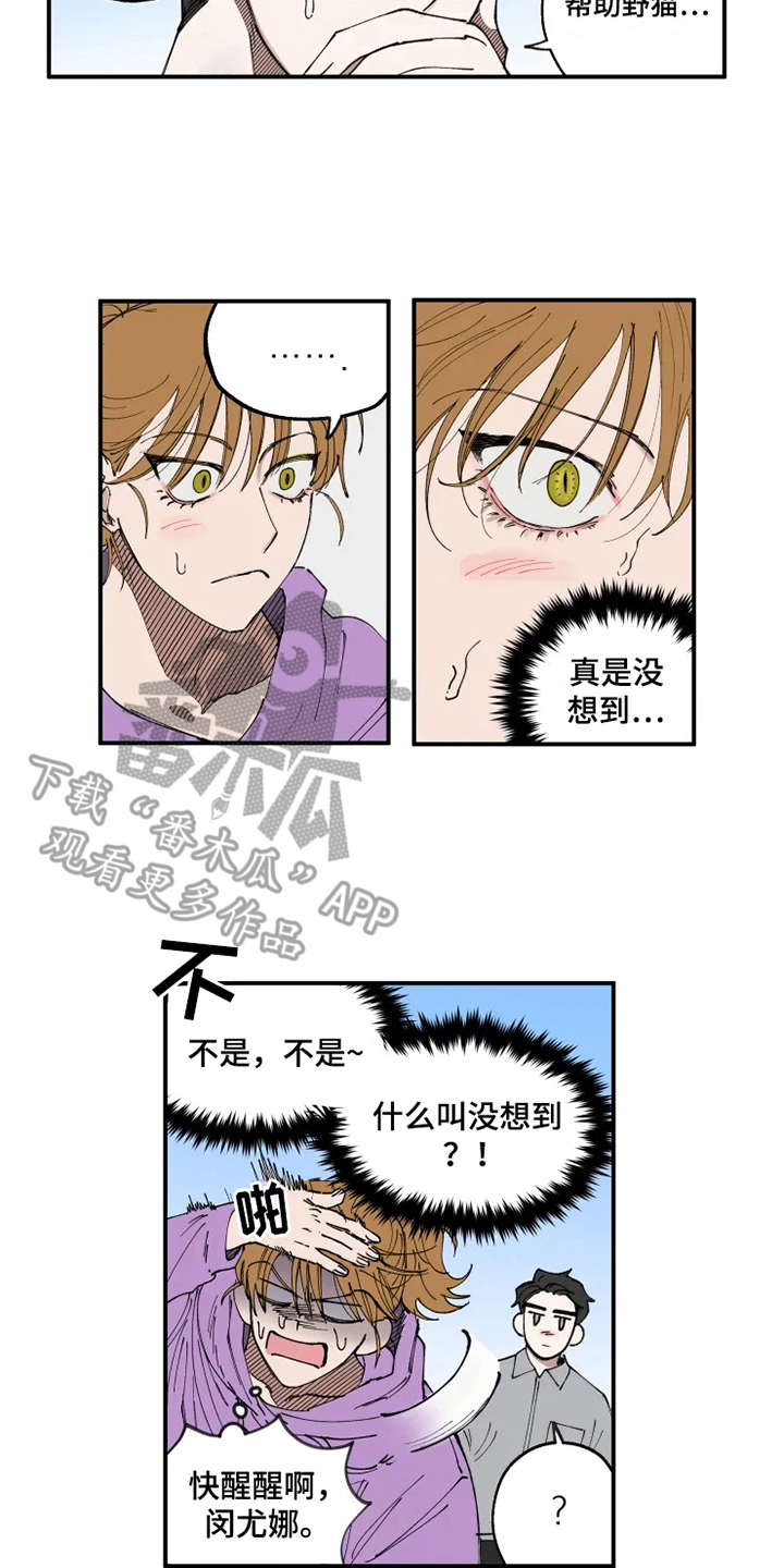 炽热狙击漫画,第8章：猫咪1图
