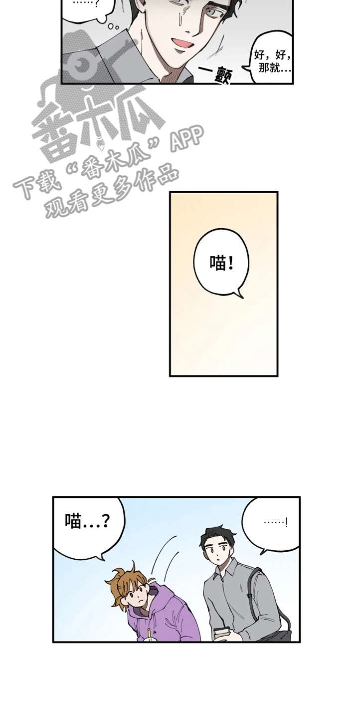 炽热追求漫画,第8章：猫咪2图