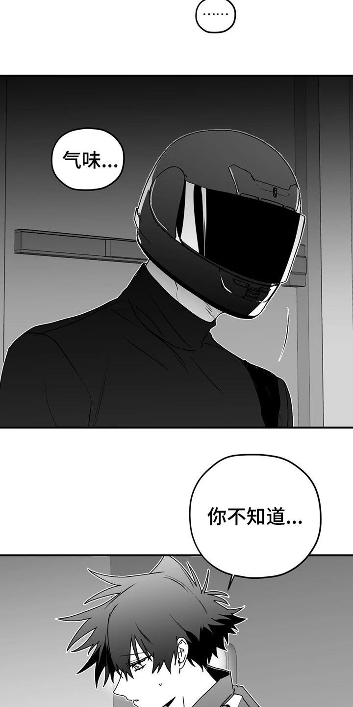 寻找波浪里的你漫画完整版漫画,第54章：发现1图