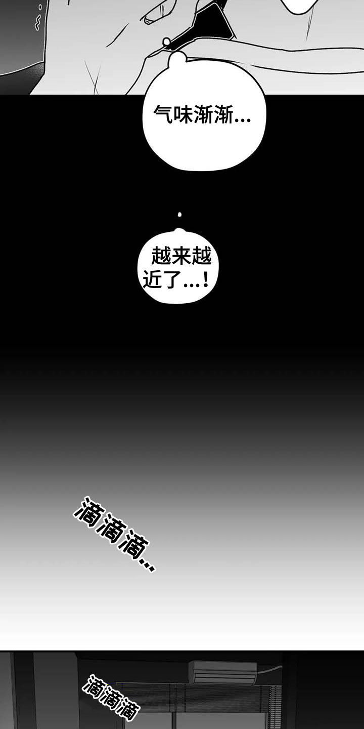 寻找波浪里的你漫画免费观看漫画,第51章：病重2图