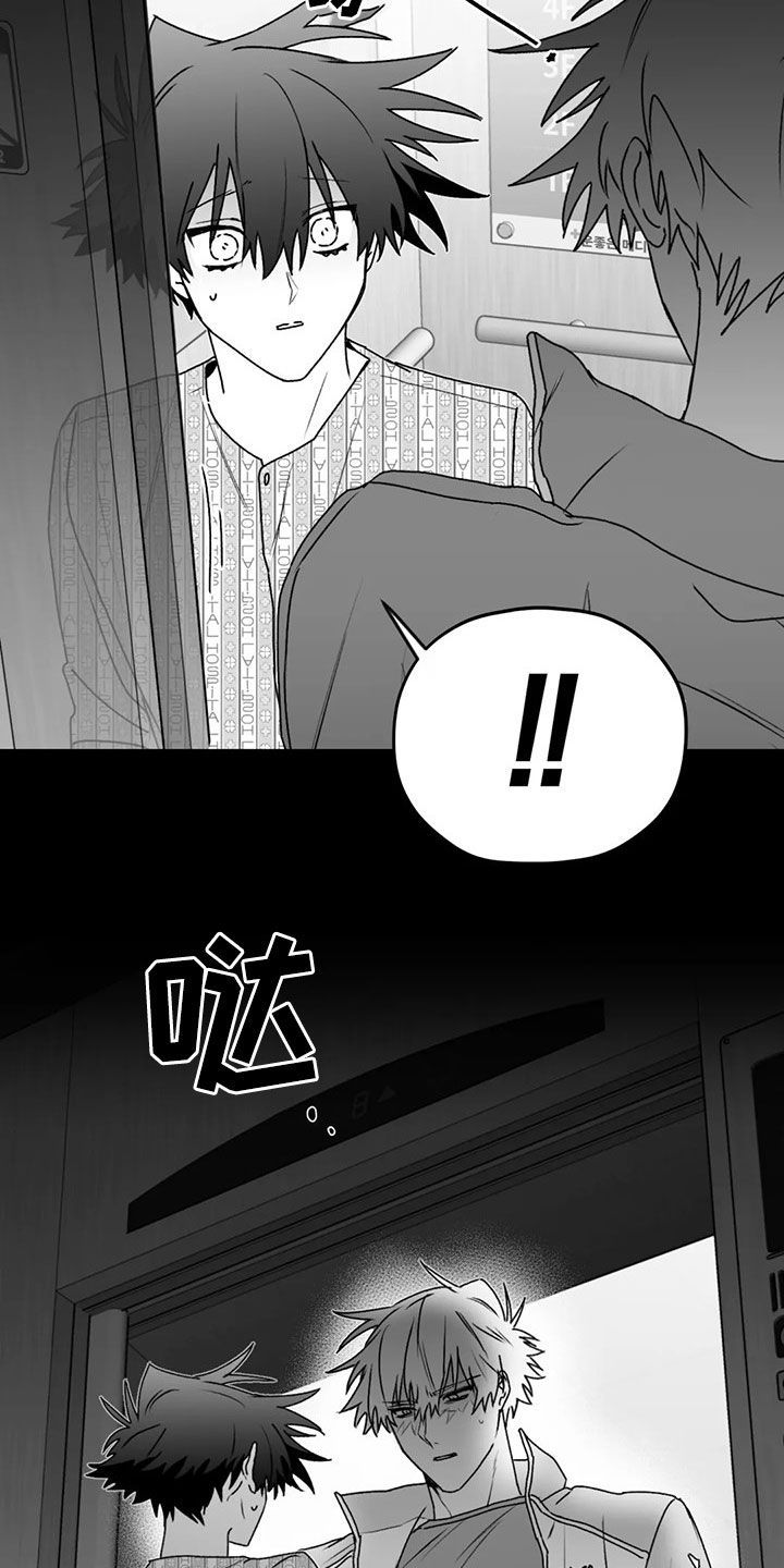 彩绘板漫画,第54章：发现2图