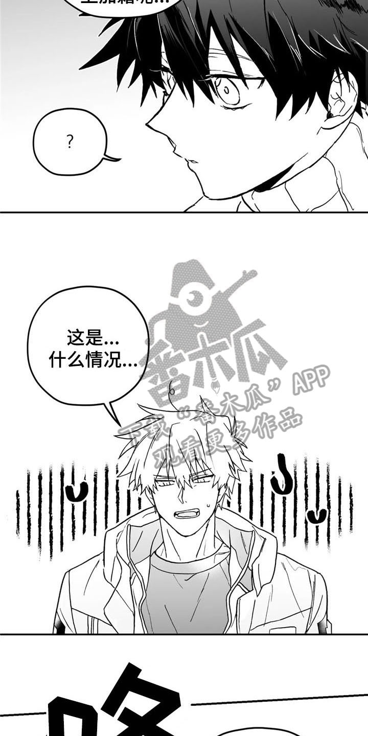 寻找波浪里的你免费漫画,第7章：打听1图