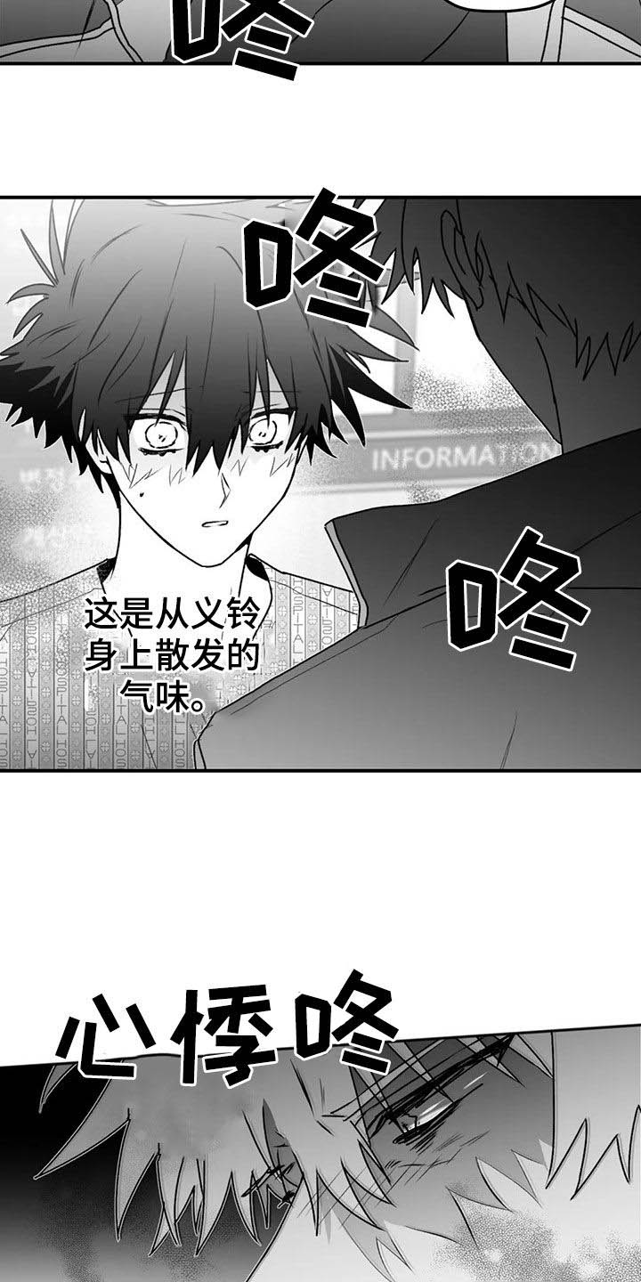 彩绘板漫画,第54章：发现2图