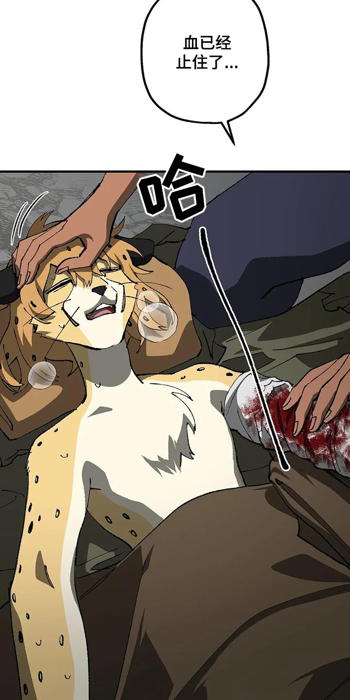 皮囊之下是饥饿的灵魂漫画,第36章：疯狂2图