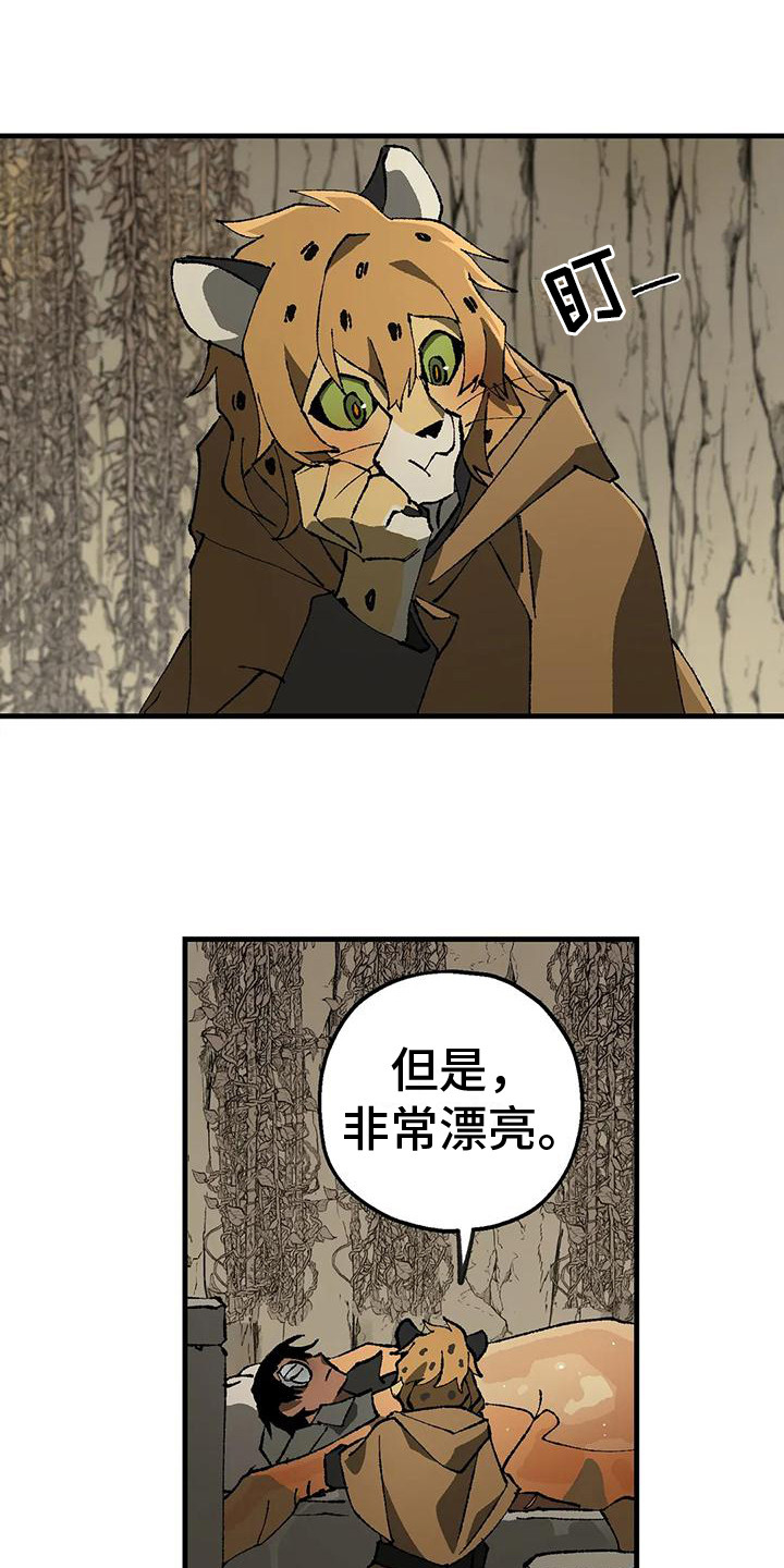皮囊之下是饥饿的灵魂漫画,第11章：好奇1图