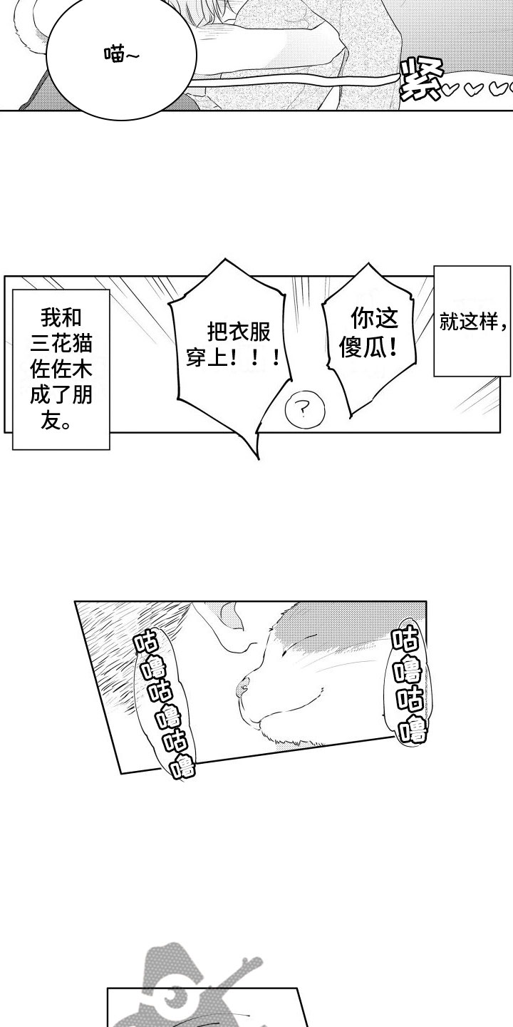 猫的记忆漫画,第6章：想看狗狗2图