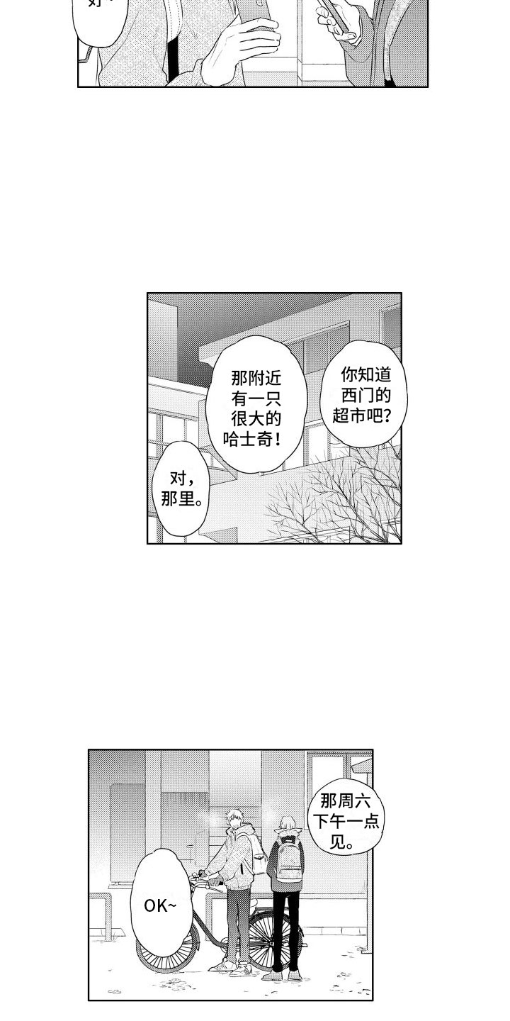 关于猫的谜语汉谜网漫画,第2章：请多关照2图