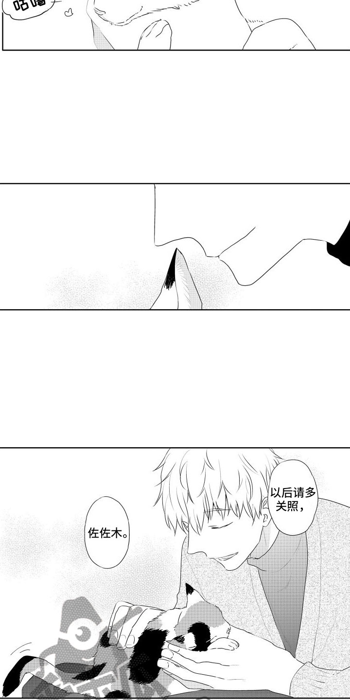 猫的秘密英文漫画,第6章：想看狗狗1图