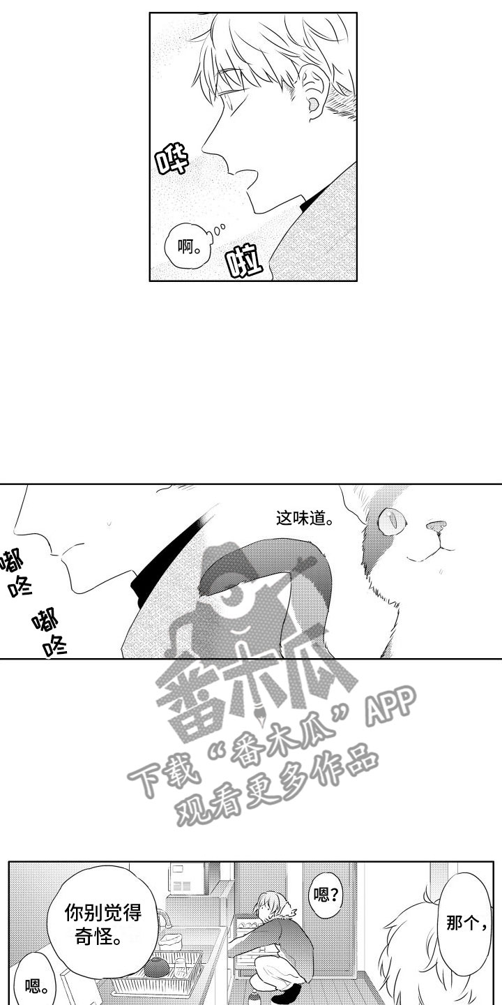 猫的迷语漫画,第4章：味道2图