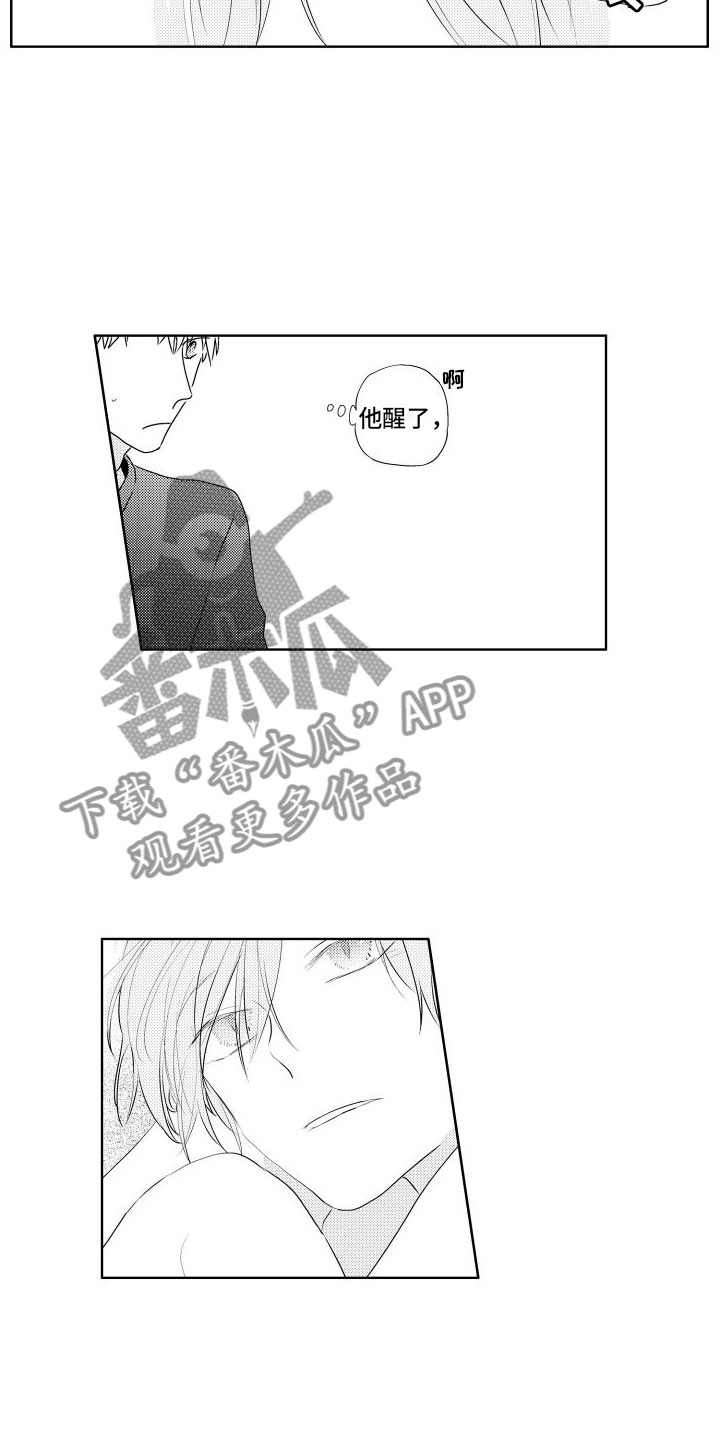 关于猫的谜语及答案漫画,第11章： 酒后1图