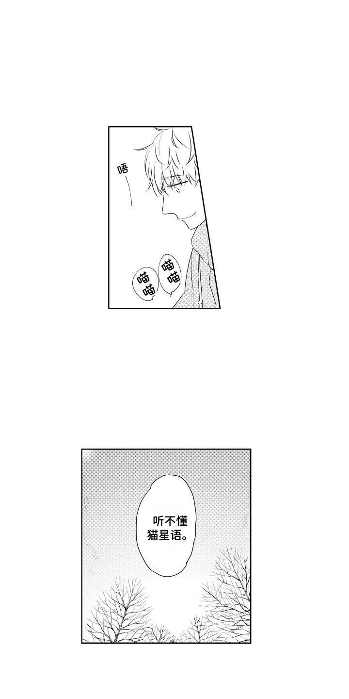 猫的读音漫画,第1章：新来的2图