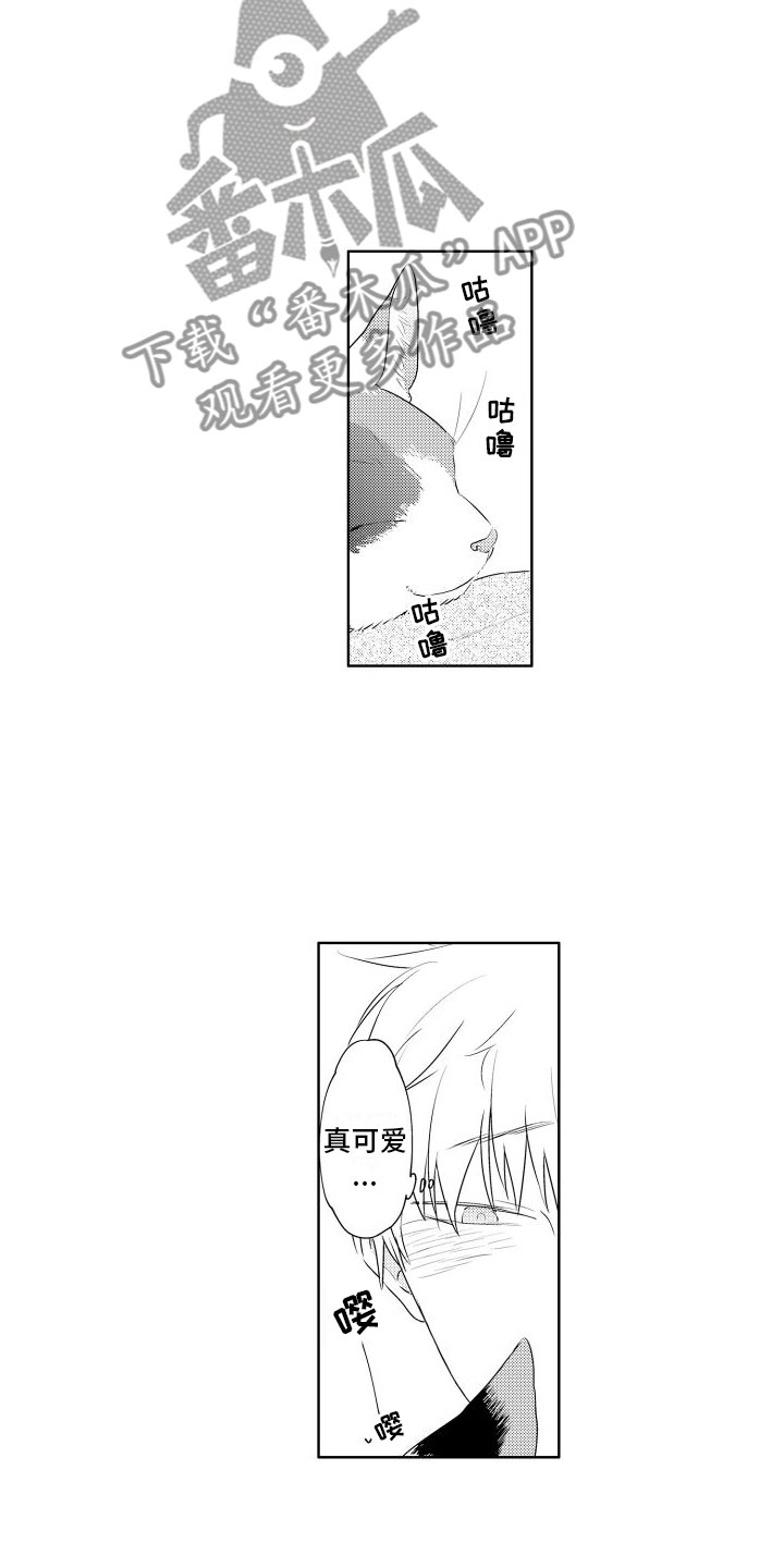 猫的记忆漫画,第6章：想看狗狗1图