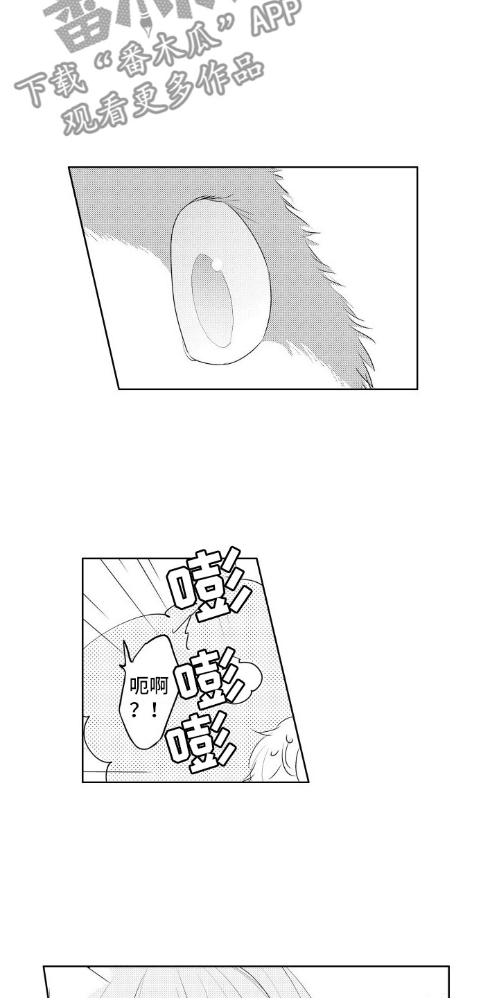 猫的秘密英文漫画,第6章：想看狗狗2图