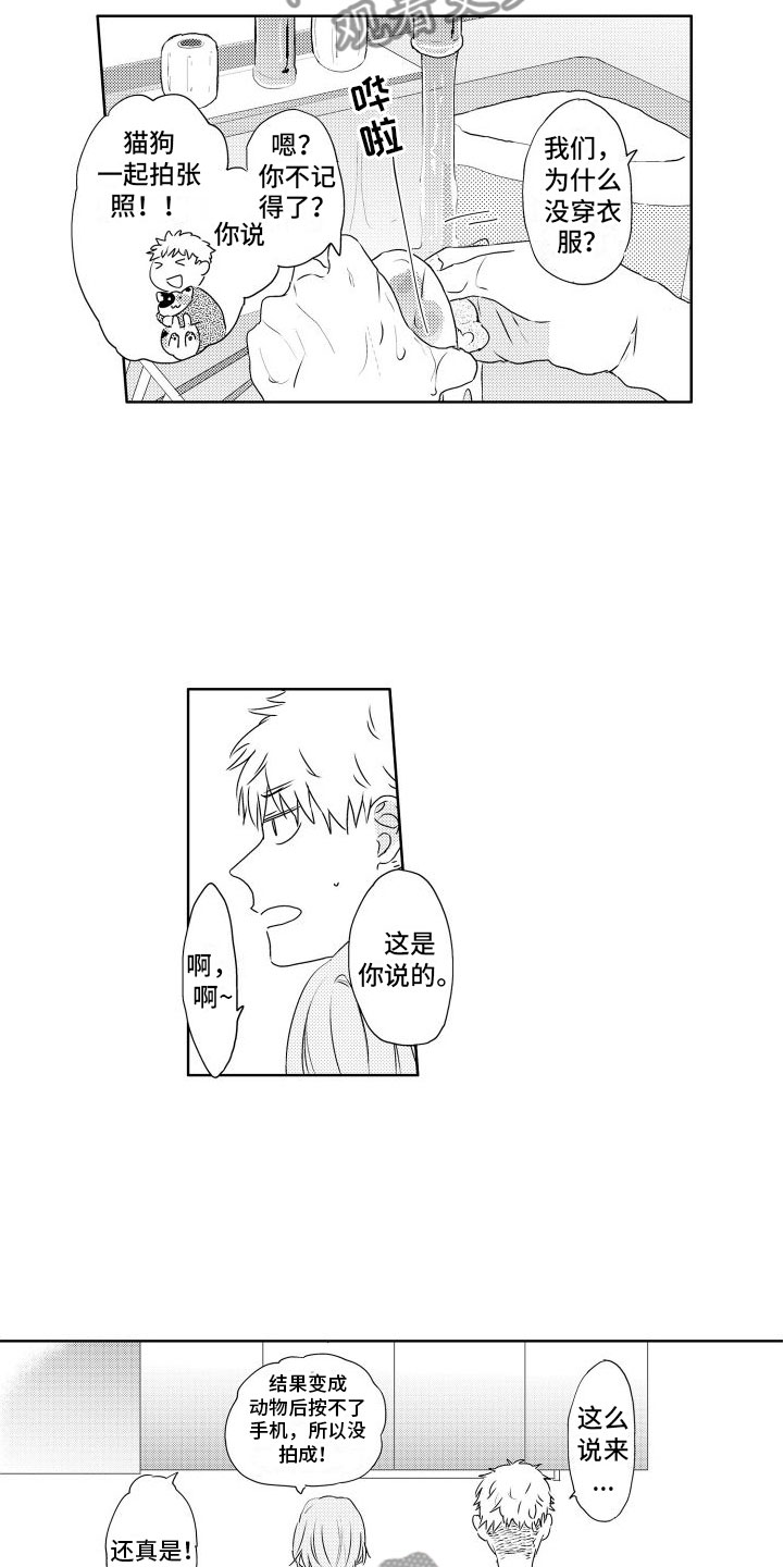 关于猫咪的谜底漫画,第12章：心乱2图