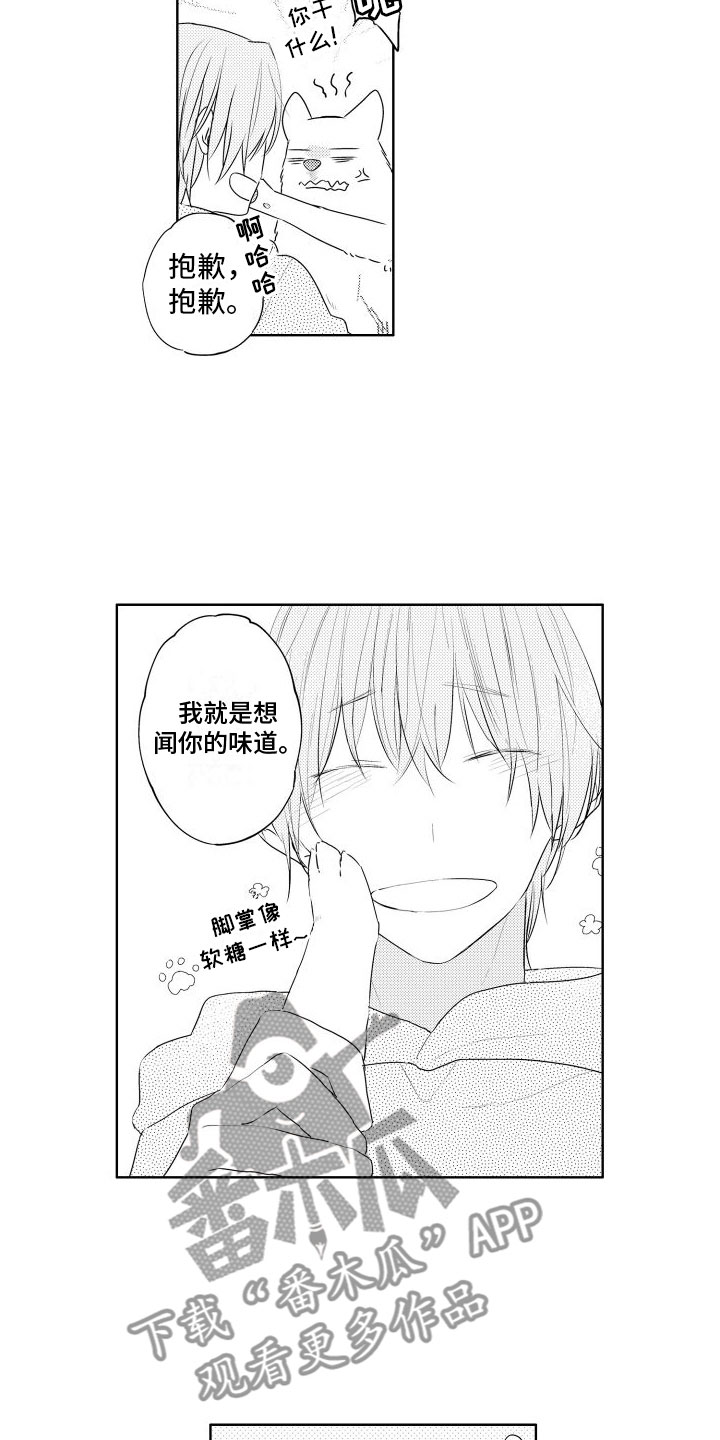 猫的密语睫毛漫画,第7章：不好意思1图