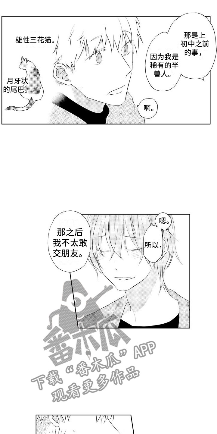 猫的密码查询漫画,第10章：再玩一会2图