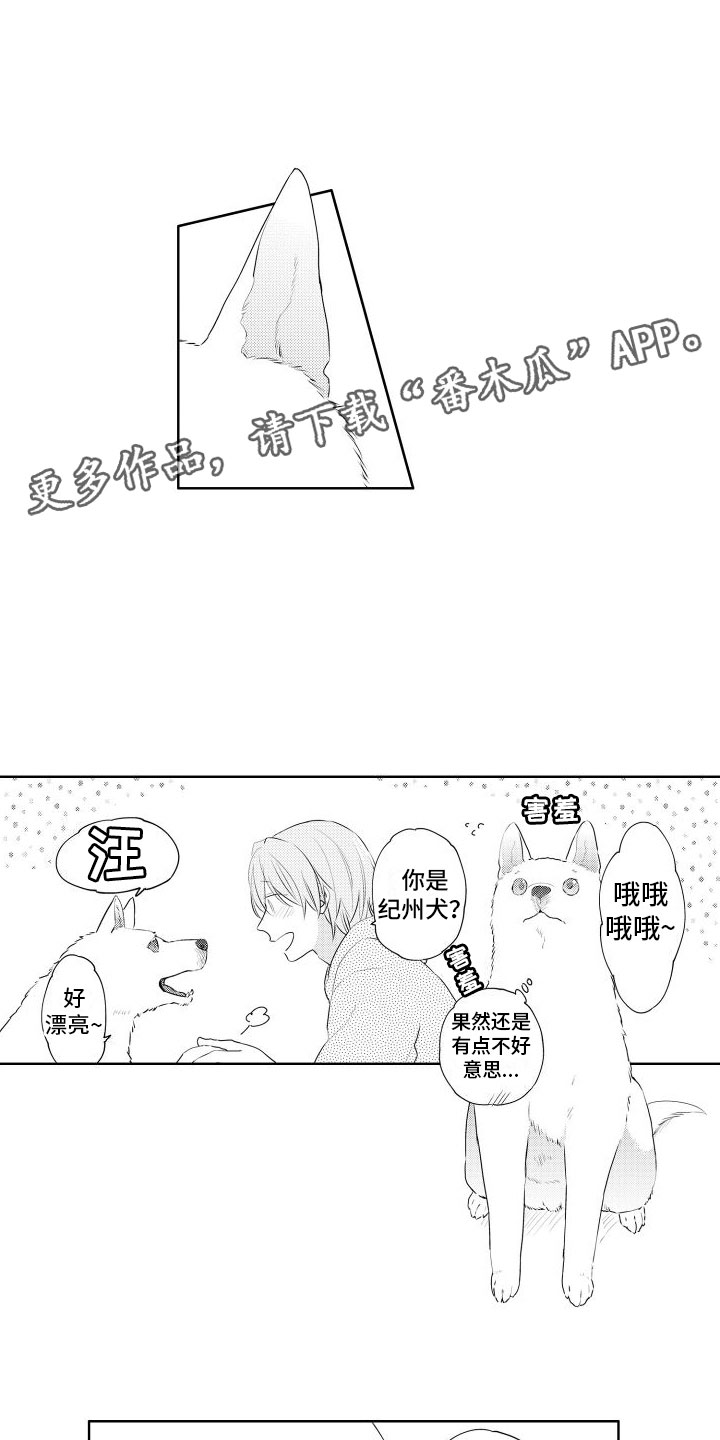 关于猫的谜语(有趣的)漫画,第7章：不好意思1图