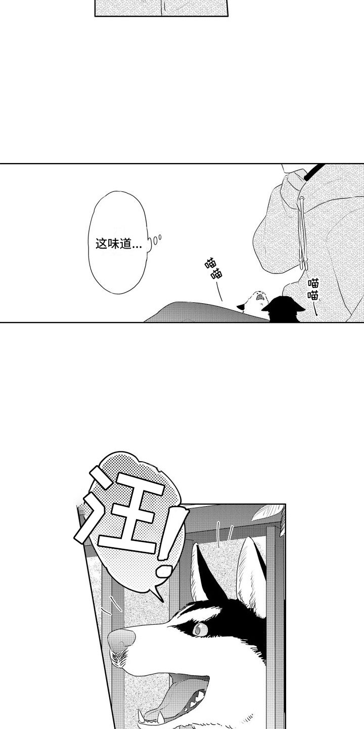 关于猫咪谜语漫画,第3章：三花猫2图