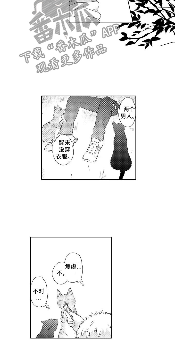 猫的小说漫画,第12章：心乱2图