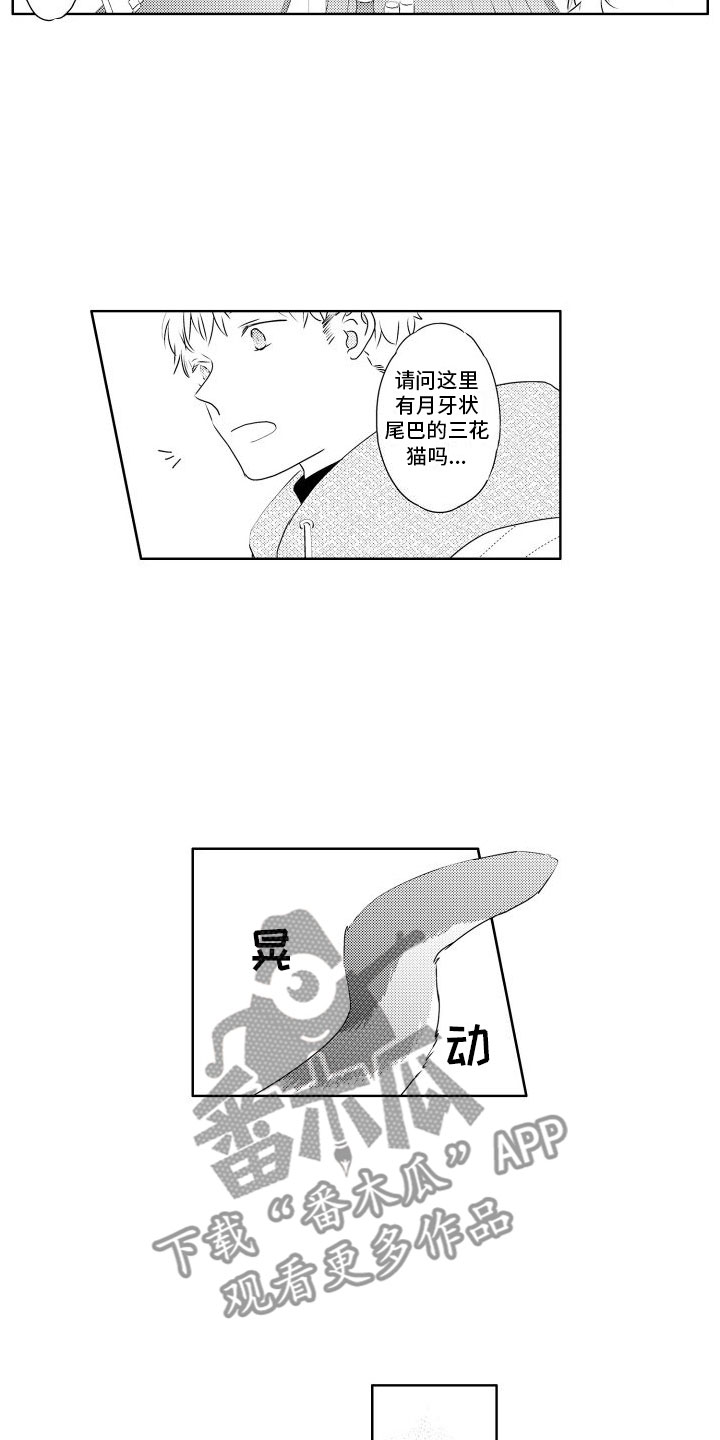 绒猫密语实战漫画,第4章：味道1图