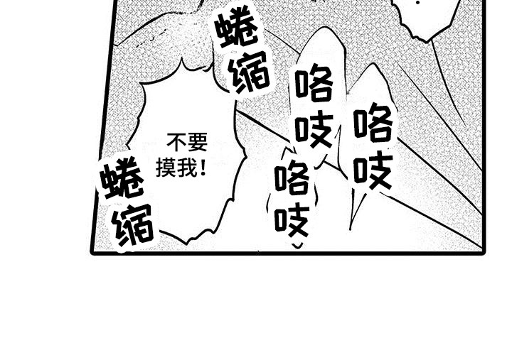 我的面具男友小说漫画,第13章：我行我素1图