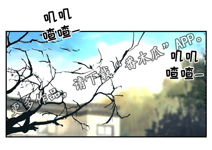 演员李羲儿遭遇车祸漫画,第65章：保重身体1图