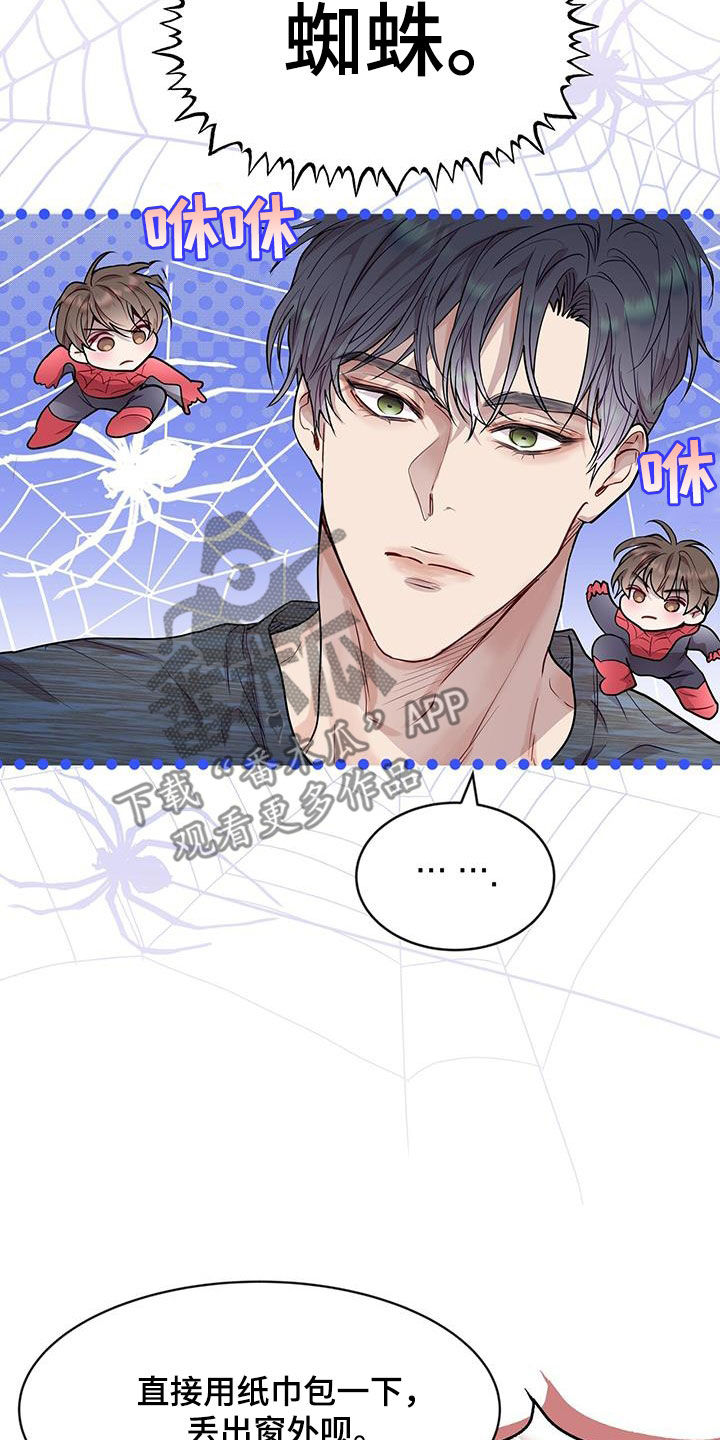 虚情假意by觉觉也要睡觉觉txt下载漫画,第42章：超大蜘蛛1图