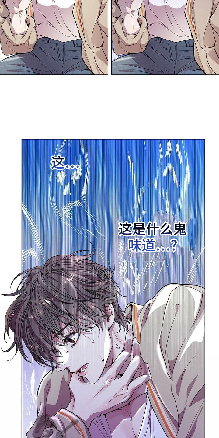 虚情假意by觉觉也要睡觉觉txt下载漫画,第22章：都是假的2图