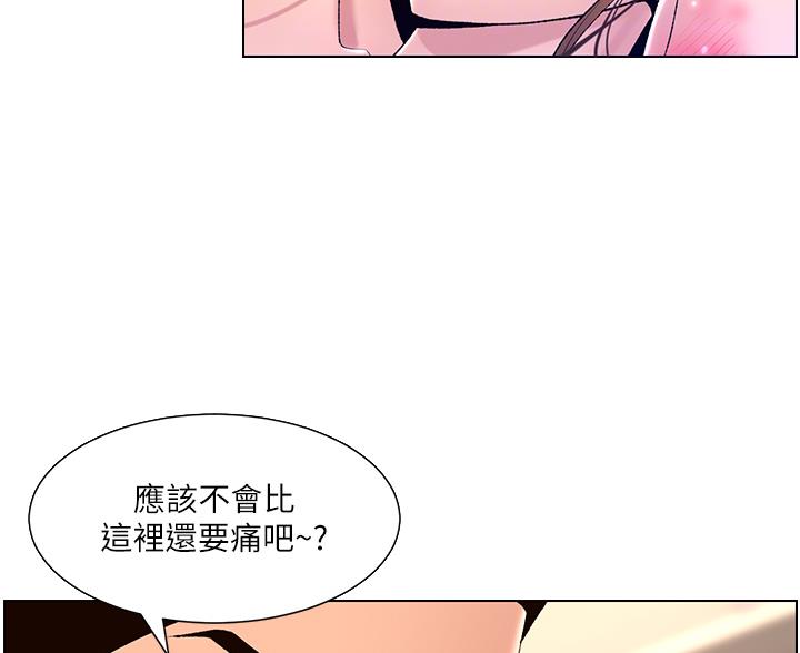 帝王砂和紫金砂哪个好漫画,第38话1图