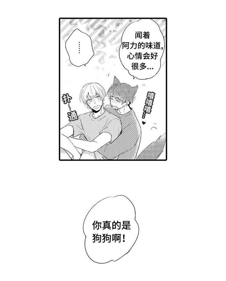 名片的材质常用有哪些漫画,第19章：解开误会1图